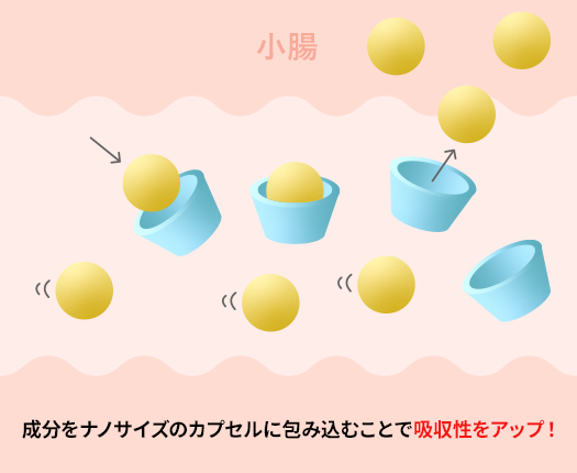 成分をナノサイズのカプセルに包み込むことで吸収性をアップ!