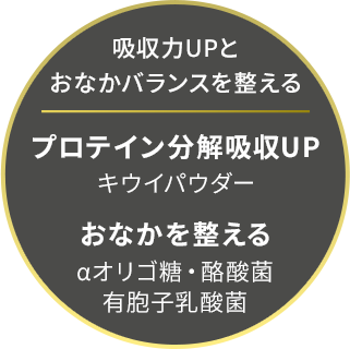 吸収力UPとおなかバランスを整える